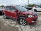 Lot #3023724893 2013 FORD ESCAPE TIT