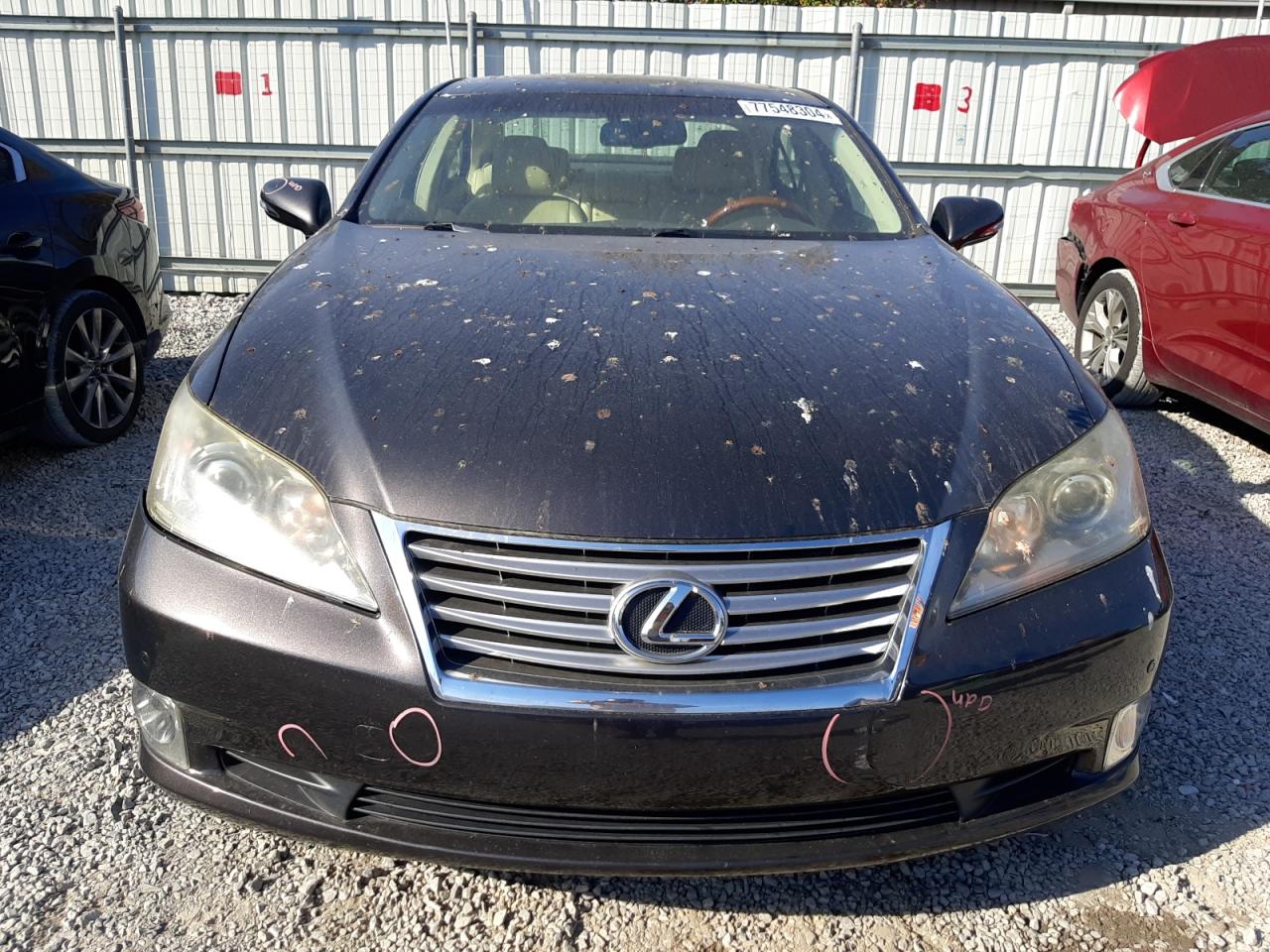 Lot #2952916825 2011 LEXUS ES 350