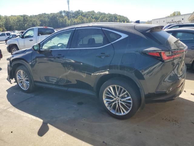 2024 LEXUS NX 350 LUX 2T2HGCEZ2RC039677