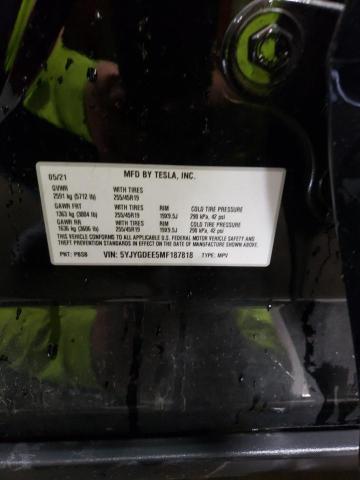 2021 TESLA MODEL Y - 5YJYGDEE5MF187818