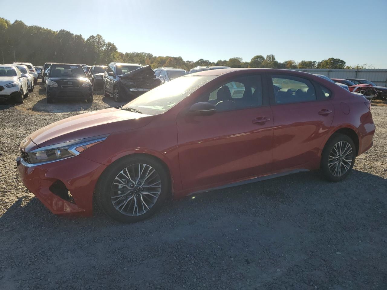 Lot #2974437498 2024 KIA FORTE GT L