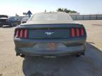 FORD MUSTANG photo