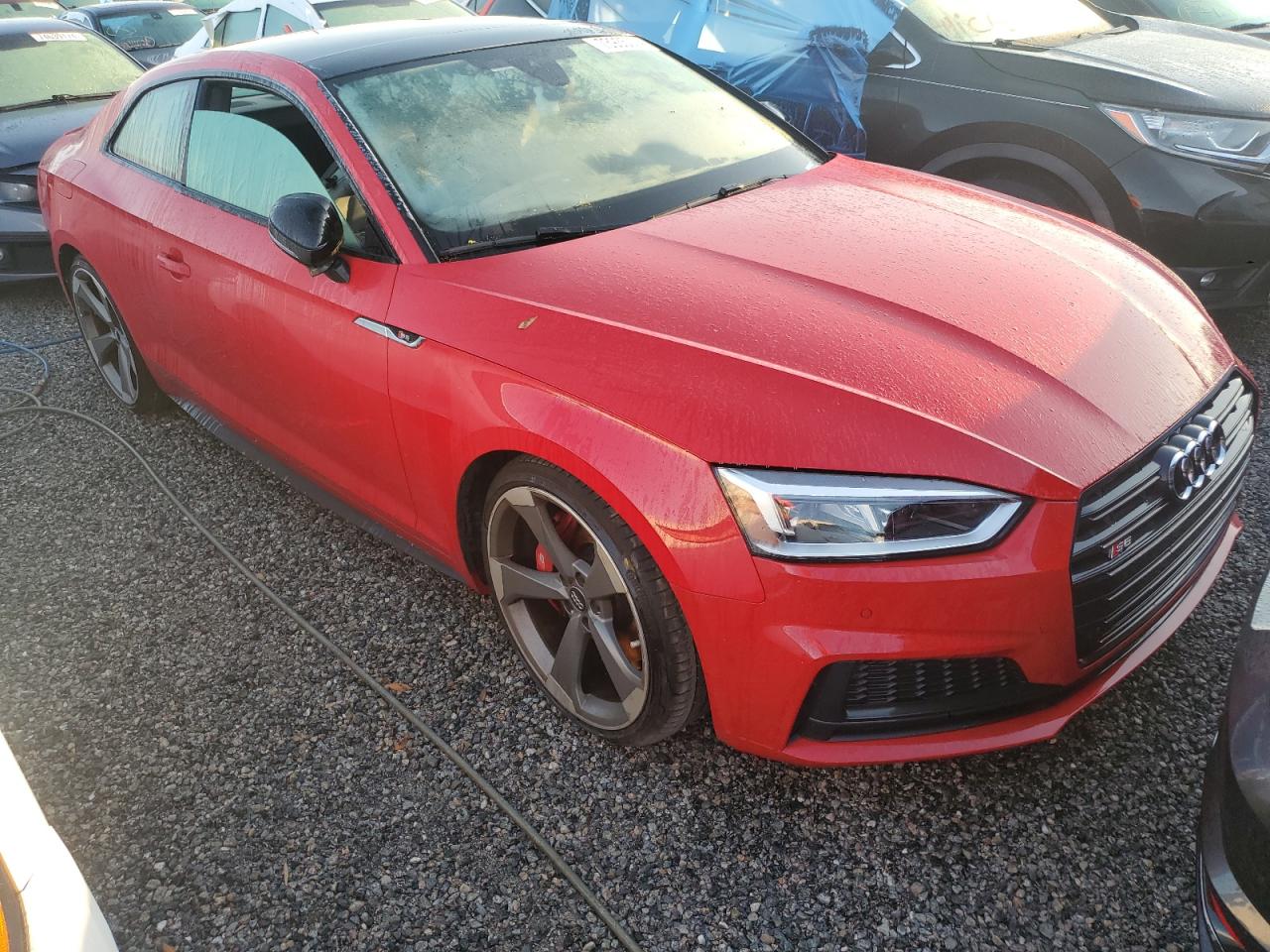 Lot #2985688598 2019 AUDI S5 PREMIUM