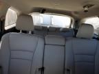 HONDA PILOT EXL photo