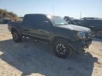 TOYOTA TACOMA DOU photo