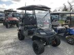 Lot #3025203677 2024 ASPT GOLF CART