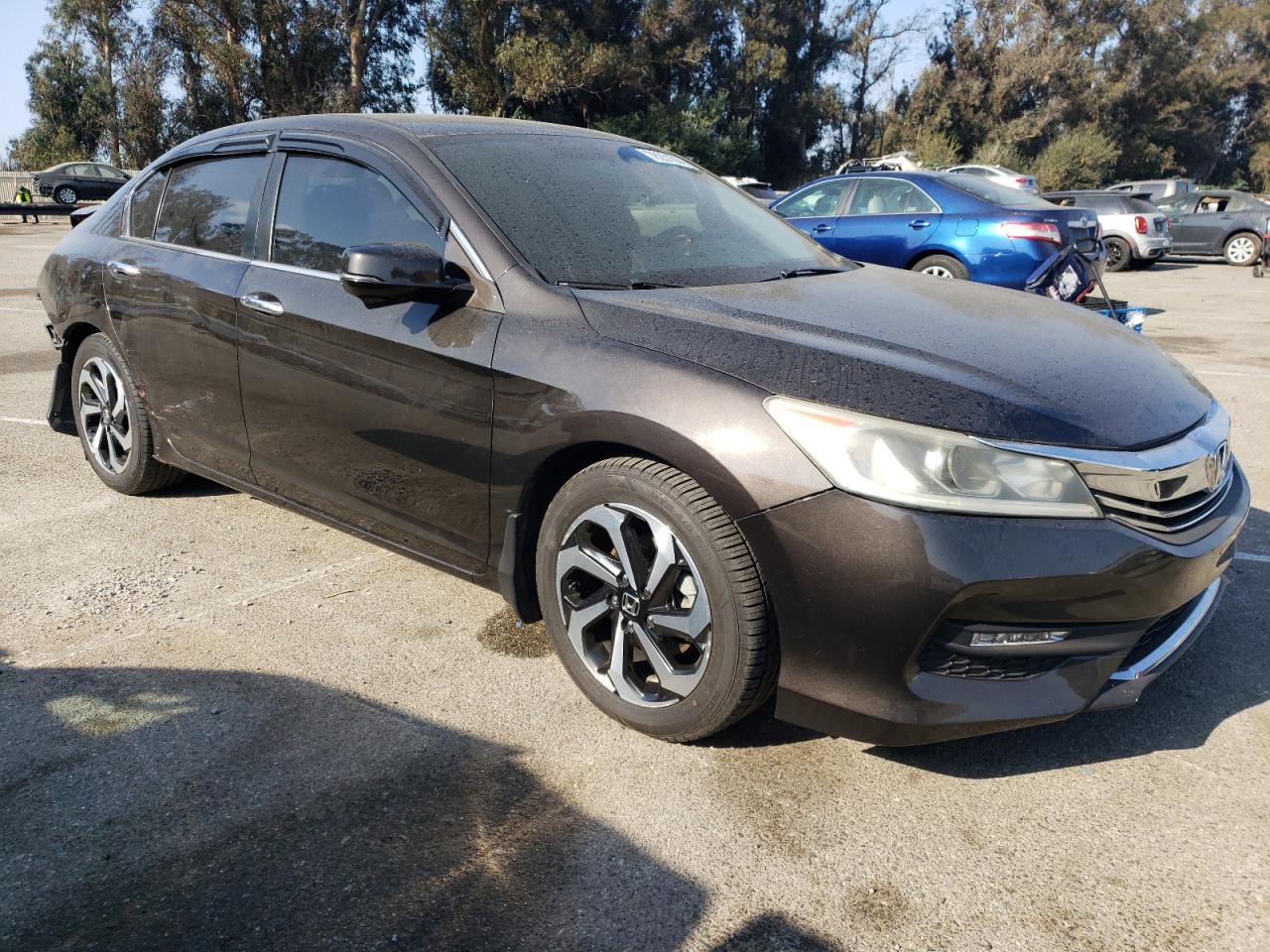 Lot #3029367682 2017 HONDA ACCORD EXL