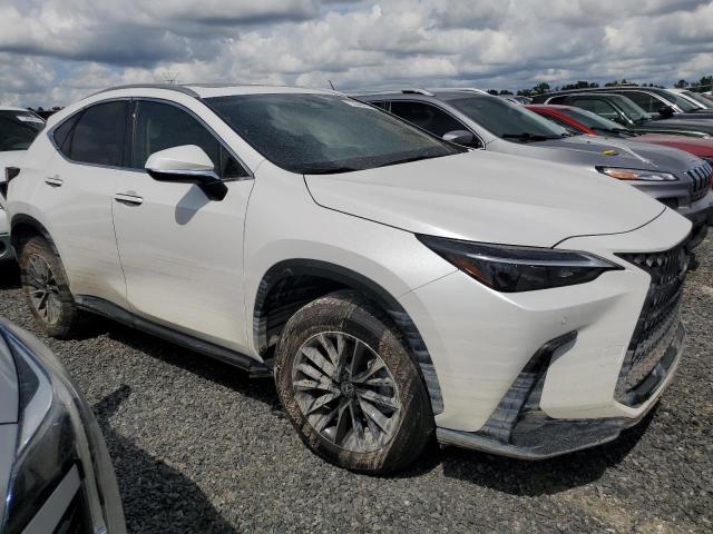 VIN 2T2GDCAZXSC020763 2025 LEXUS NX 250 PRE no.4