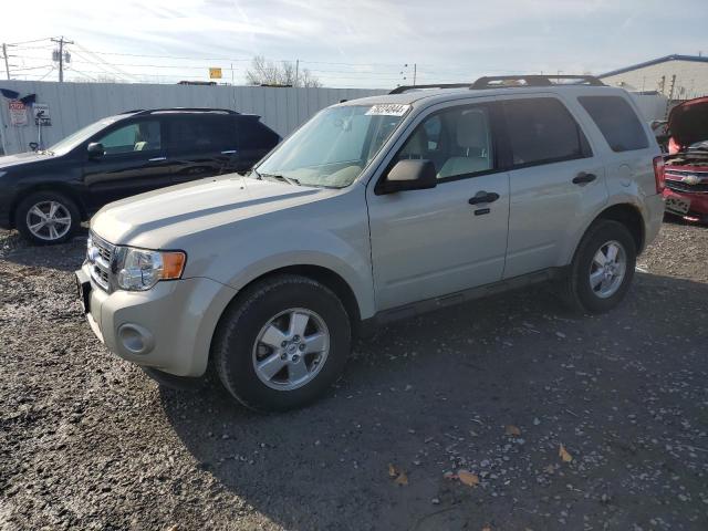 2009 FORD ESCAPE XLT #3028341796