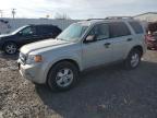 Lot #3028341796 2009 FORD ESCAPE XLT