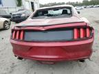 FORD MUSTANG photo