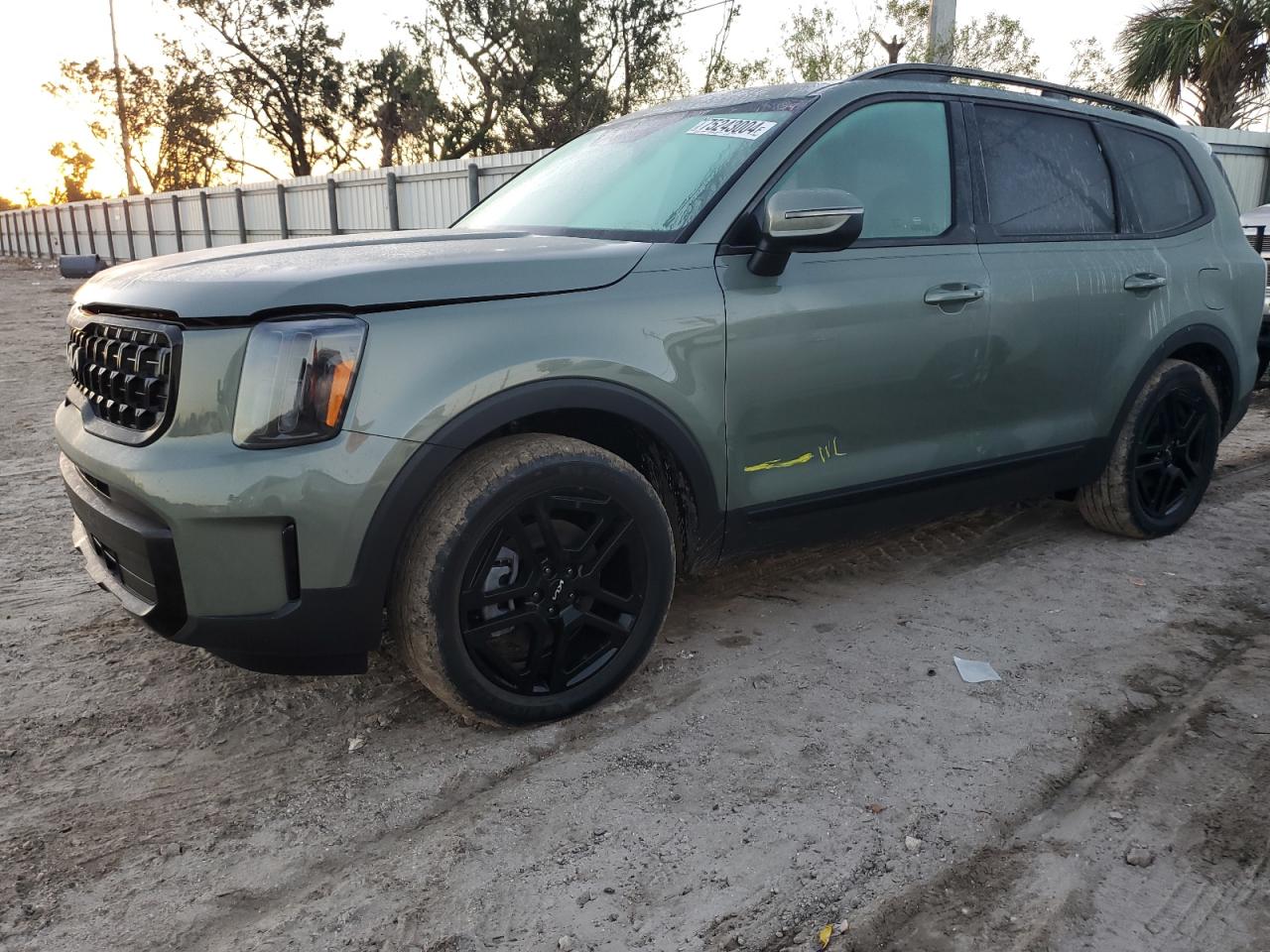 Lot #3008079833 2024 KIA TELLURIDE