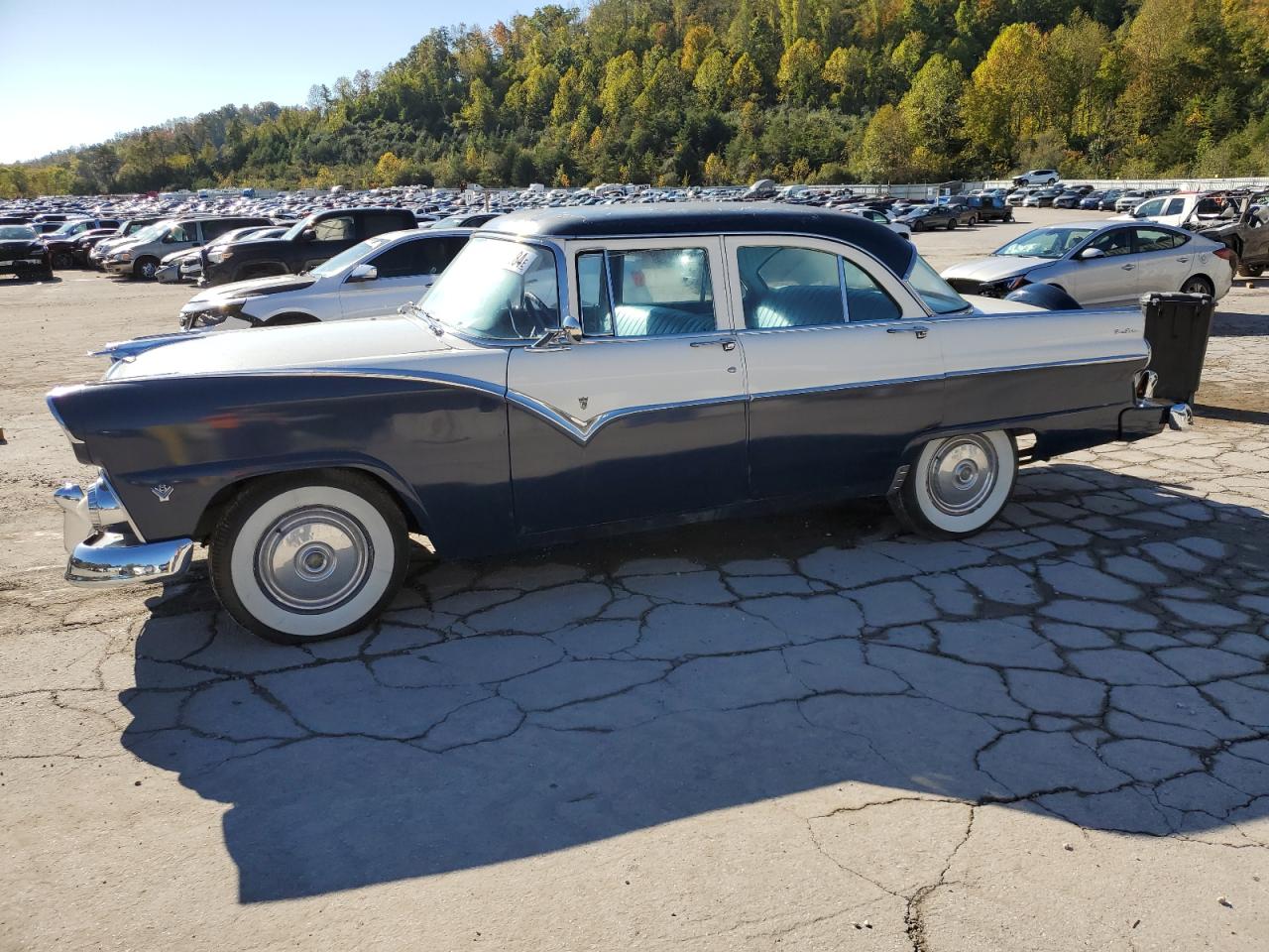 Lot #3029413689 1955 FORD FAIRLANE