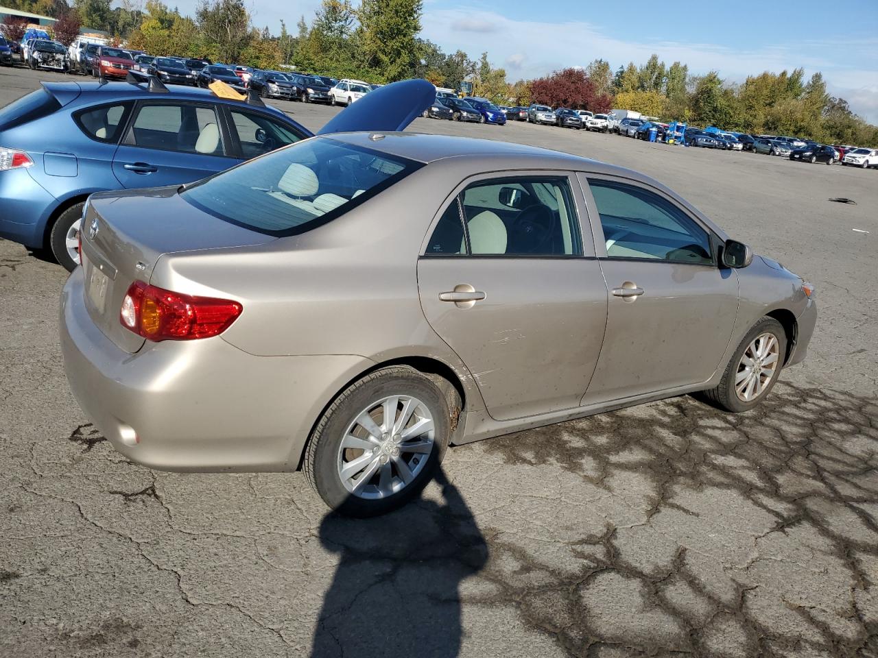 Lot #2953115629 2009 TOYOTA COROLLA BA