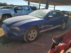 Lot #3006860586 2013 FORD MUSTANG