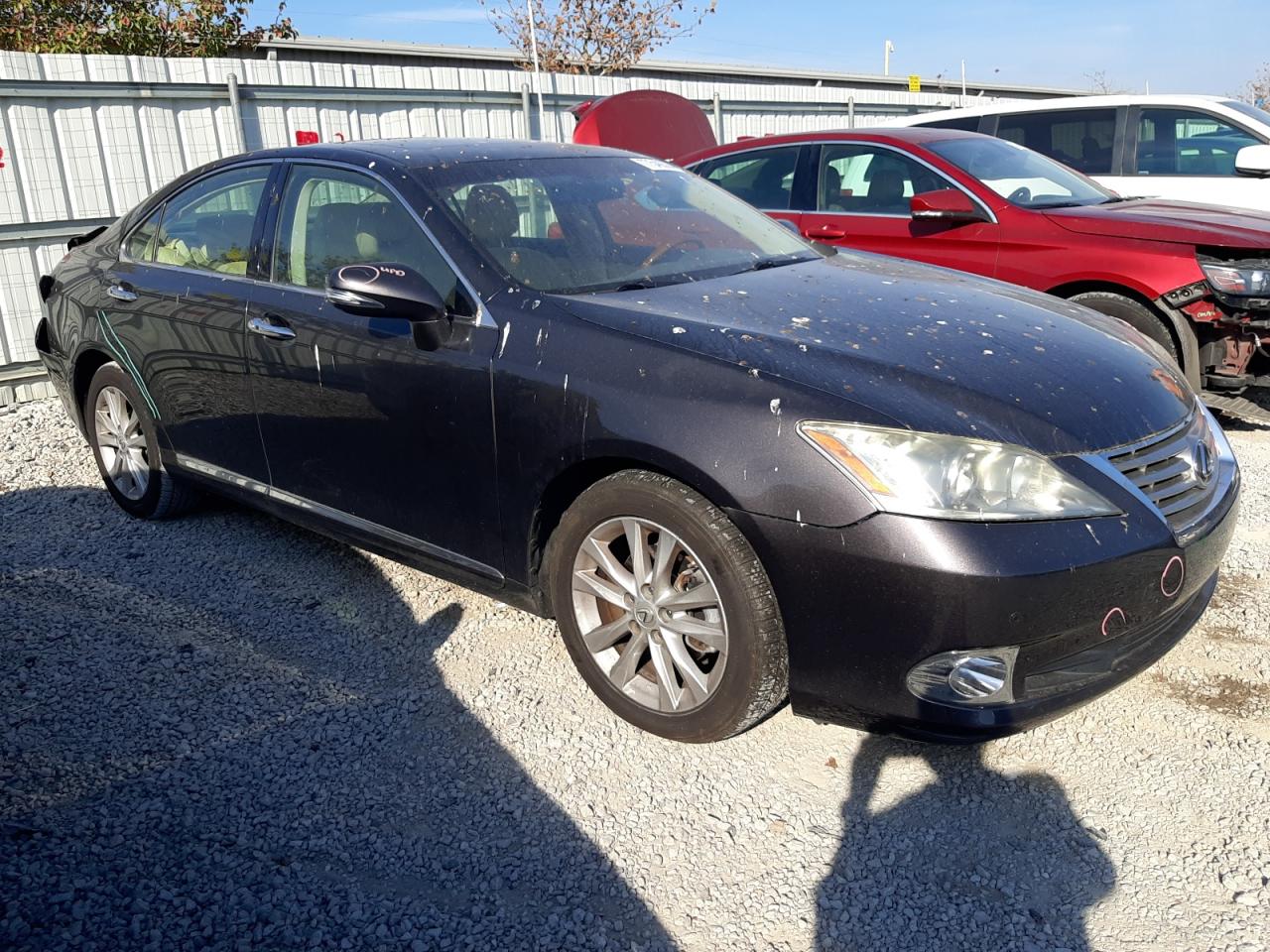 Lot #2952916825 2011 LEXUS ES 350