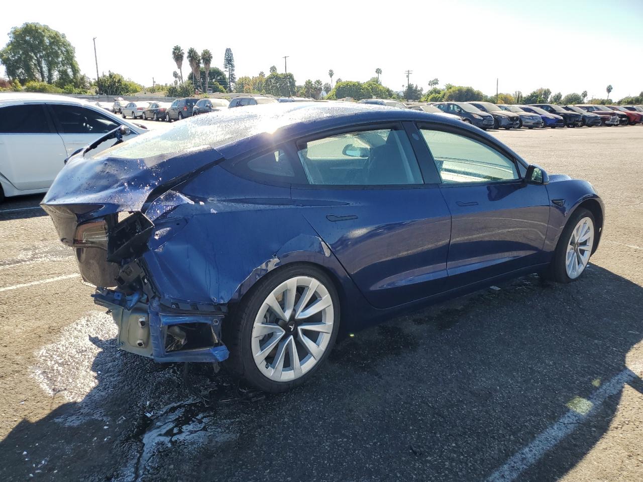 Lot #2977348861 2022 TESLA MODEL 3