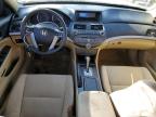 HONDA ACCORD LX photo