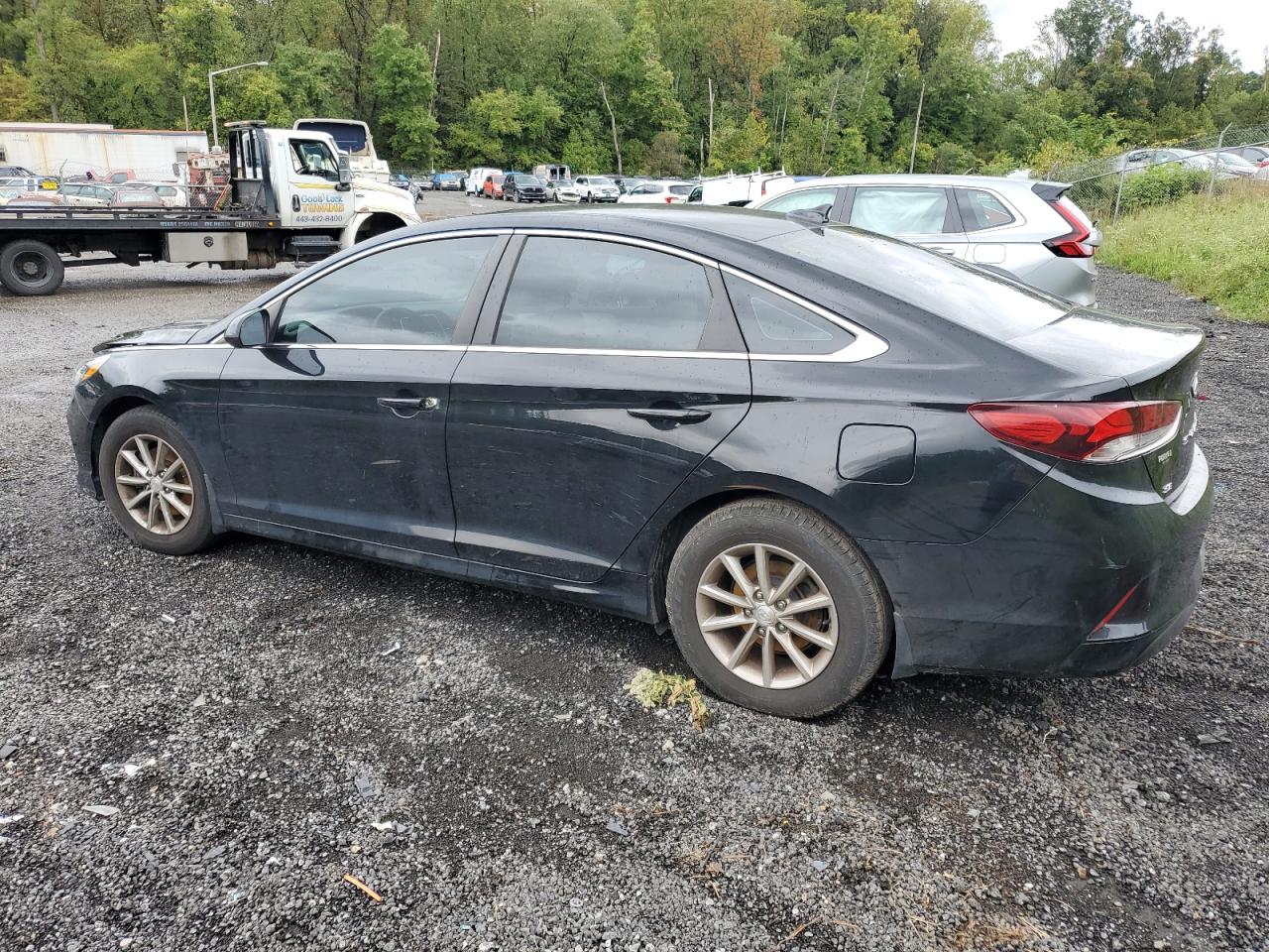 Lot #2979473811 2019 HYUNDAI SONATA SE