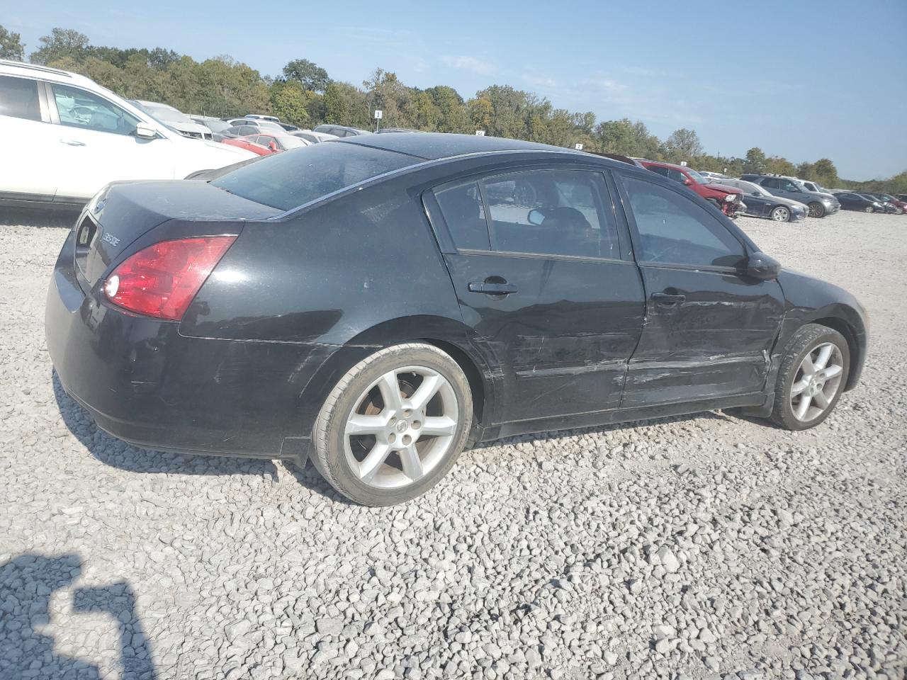 Lot #2978635203 2006 NISSAN MAXIMA SE