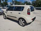 KIA SOUL + photo