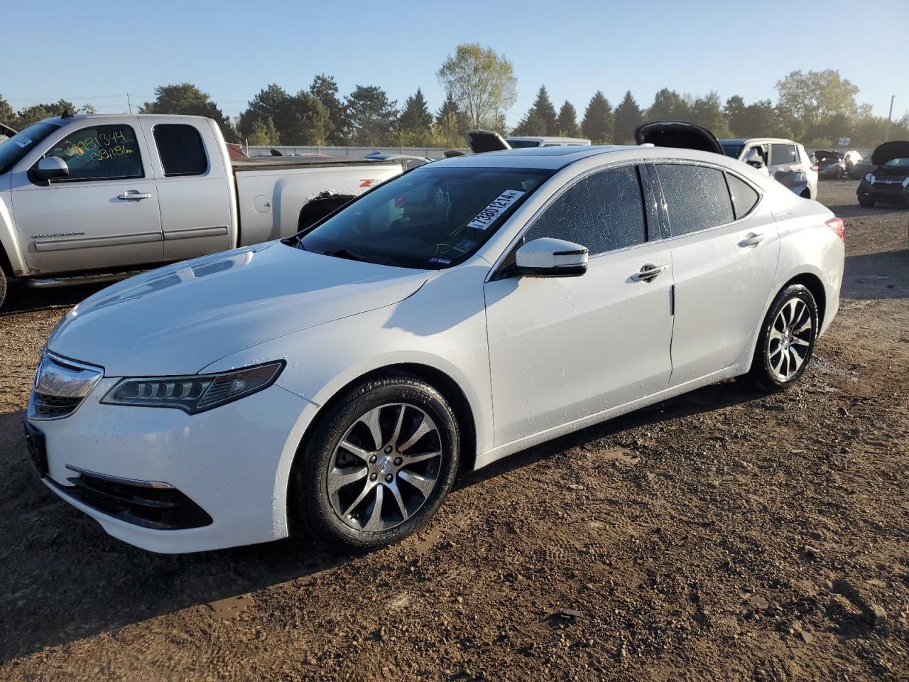 Lot #2945515152 2015 ACURA TLX