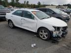 TOYOTA CAMRY L photo