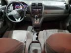 HONDA CR-V SE photo