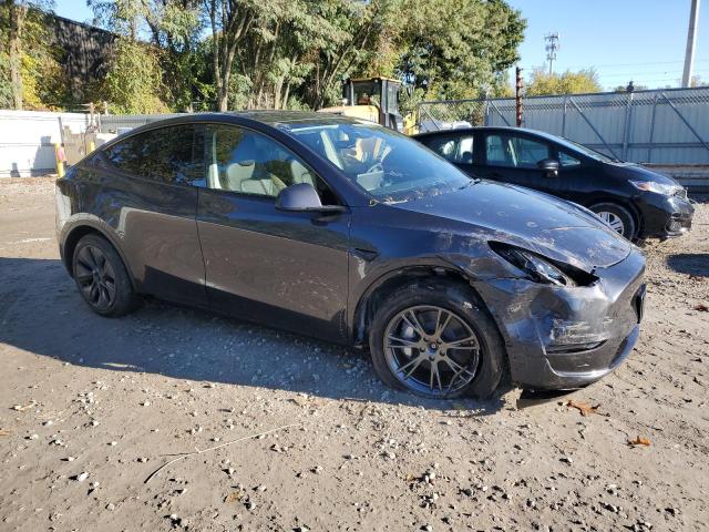 2024 TESLA MODEL Y - 7SAYGDEE1RF165535