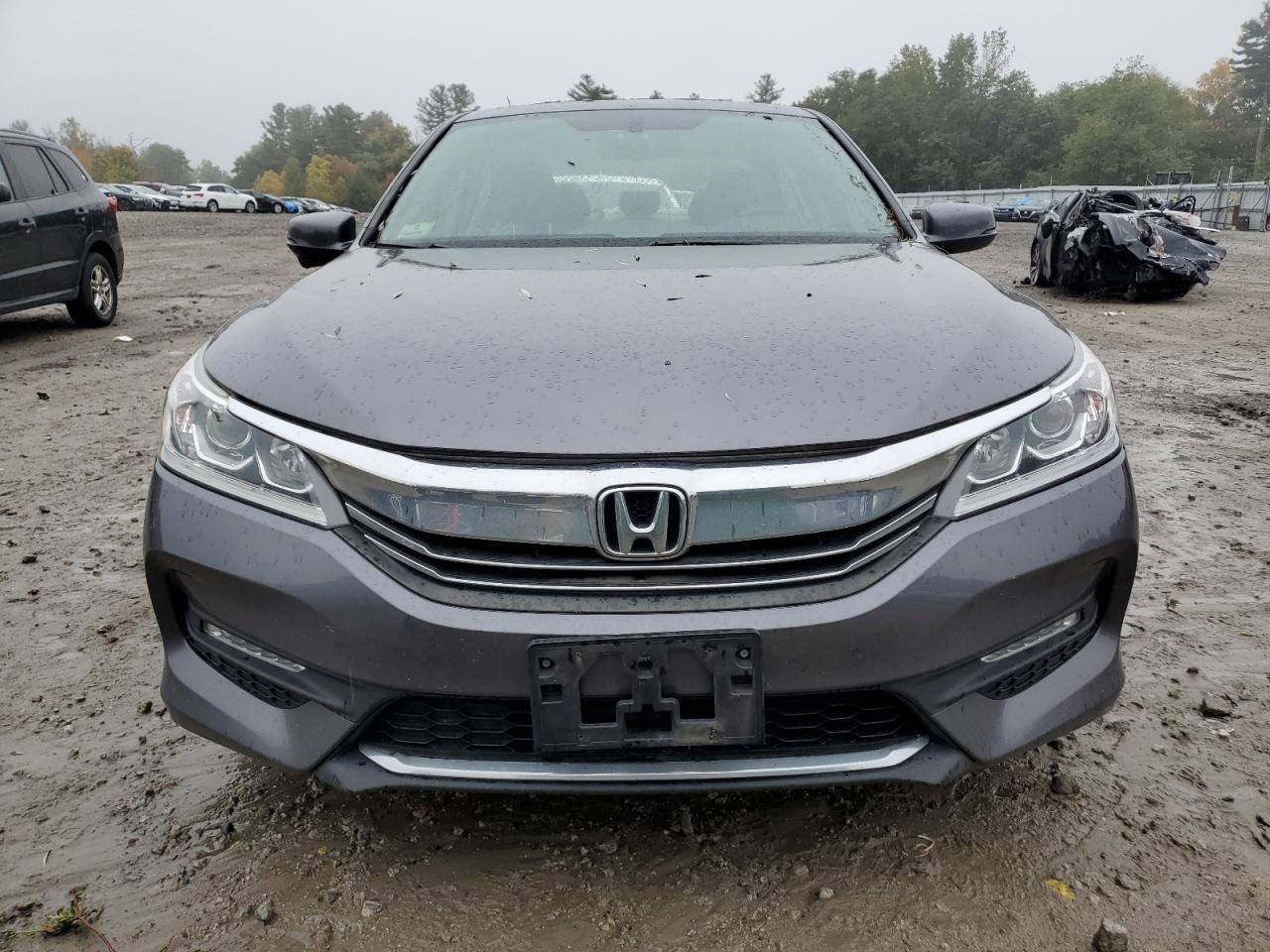 Lot #2969900004 2016 HONDA ACCORD