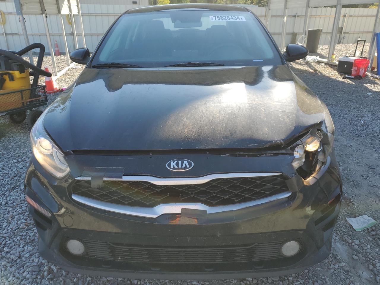 Lot #2977084386 2019 KIA FORTE FE