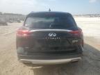 Lot #3024400596 2021 INFINITI QX50 ESSEN