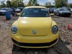 VOLKSWAGEN BEETLE photo