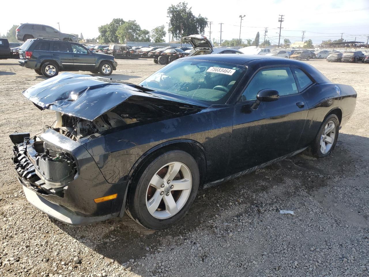 Lot #2970081316 2012 DODGE CHALLENGER