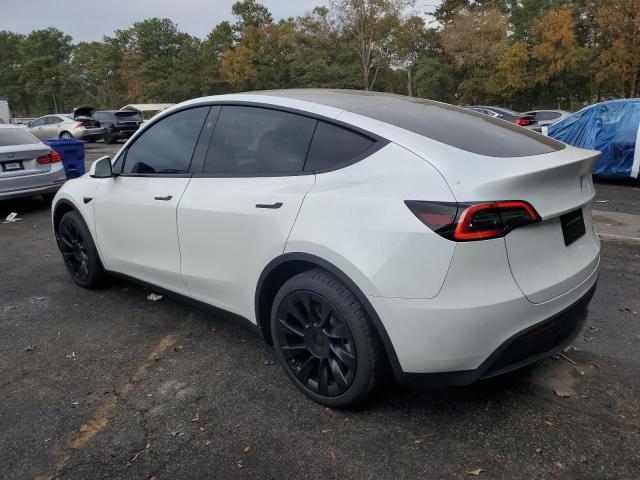 2024 TESLA MODEL Y - 7SAYGDEE3RA261440