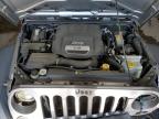 JEEP WRANGLER U photo