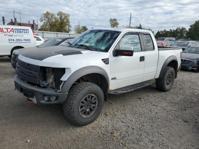 FORD F150 SVT R 2011 white  gas 1FTEX1R67BFA53020 photo #1