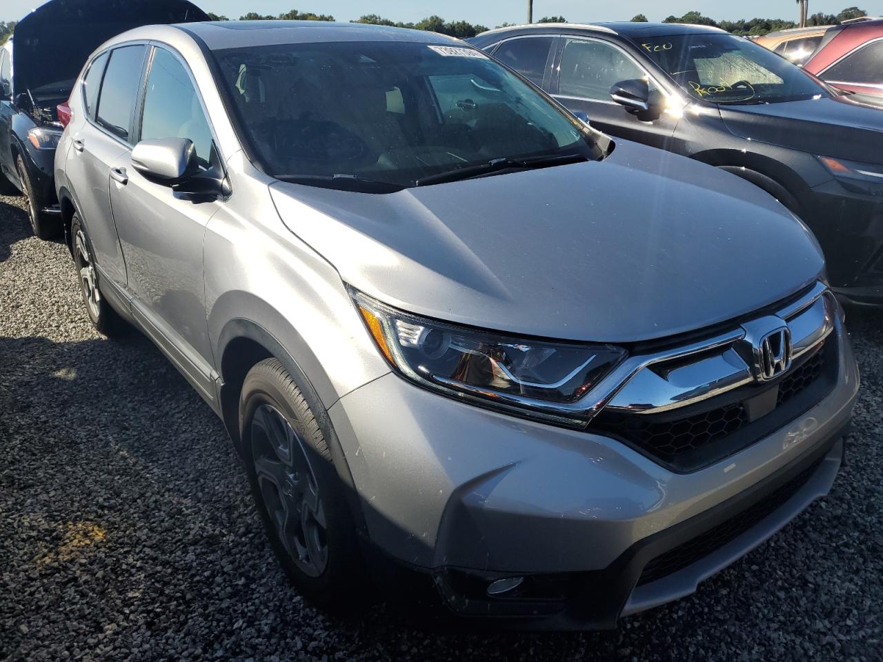 Lot #3033243853 2019 HONDA CR-V EXL