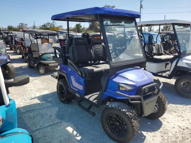 2024 BINT GOLFCART #3025203693