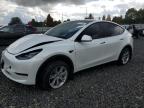 2024 TESLA MODEL Y - 7SAYGDEE1RF084714