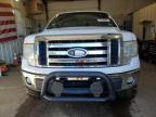 FORD F150 SUPER снимка