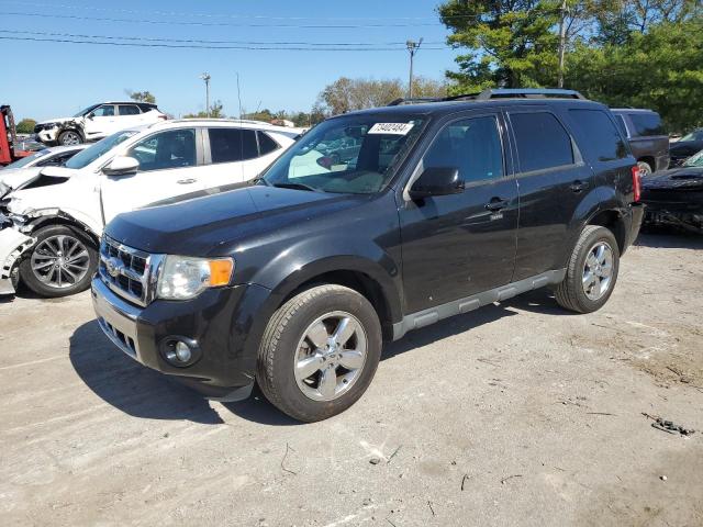 2011 FORD ESCAPE LIMITED 2011