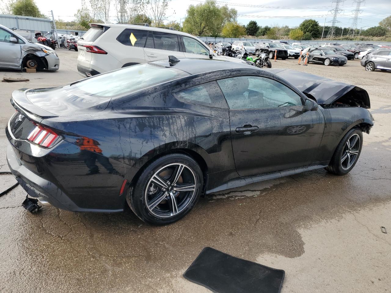 Lot #3009109474 2024 FORD MUSTANG