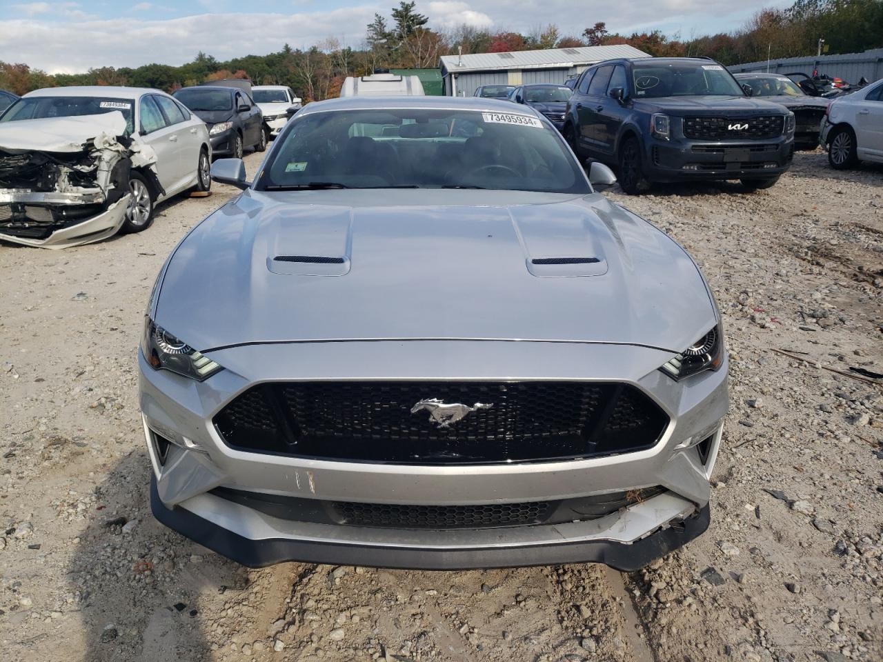 Lot #3034386095 2019 FORD MUSTANG GT