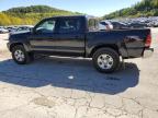 TOYOTA TACOMA DOU photo