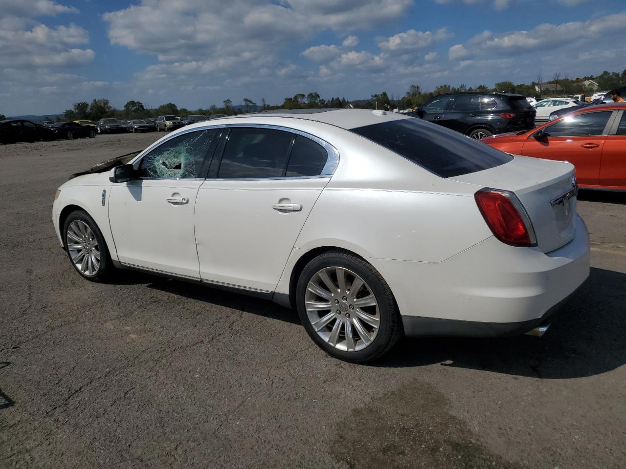 Lot #3052495134 2010 LINCOLN MKS