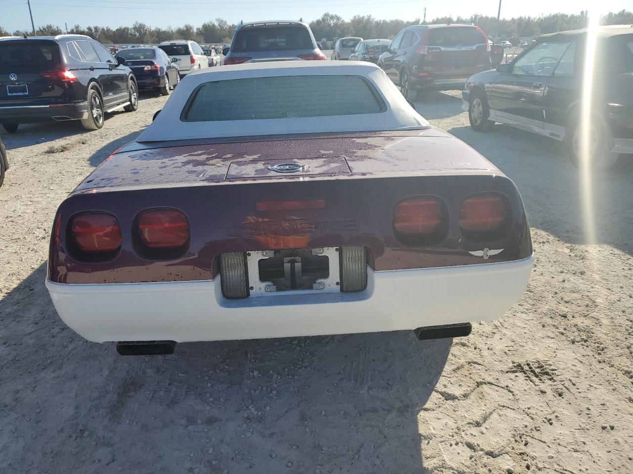 Lot #3029726734 1995 CHEVROLET CORVETTE