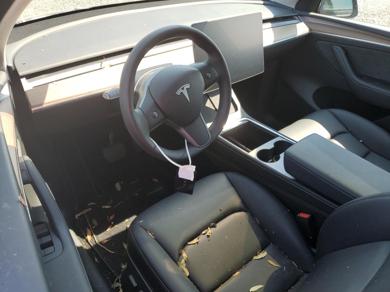 Lot #3030416468 2024 TESLA MODEL Y