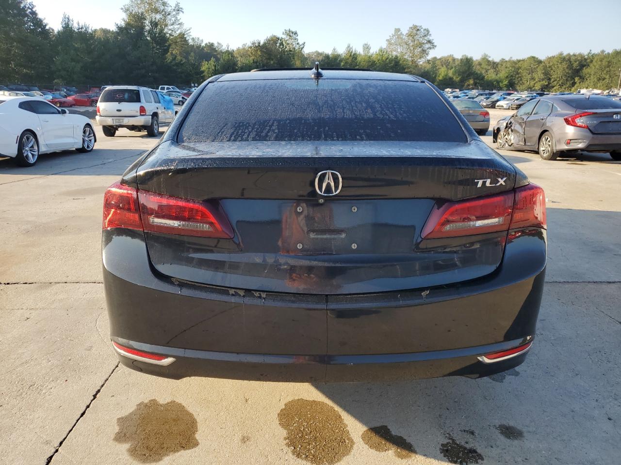 Lot #2907155637 2015 ACURA TLX