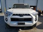 Lot #3023417271 2022 TOYOTA 4RUNNER SR